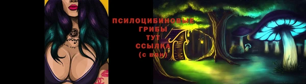 спайс Алексин