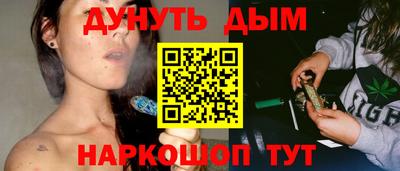 сатива Шахты