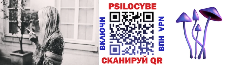 Псилоцибиновые грибы Cubensis  где продают   Краснокамск 