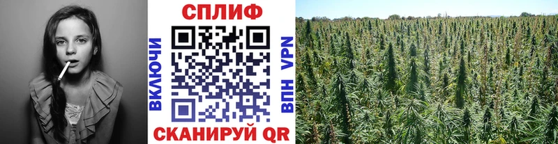 закладка  Краснокамск  Марихуана конопля 